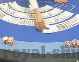 2026世界杯投注尚v98典tv-2026世界杯投注与尚v98典tv的观赛体验
